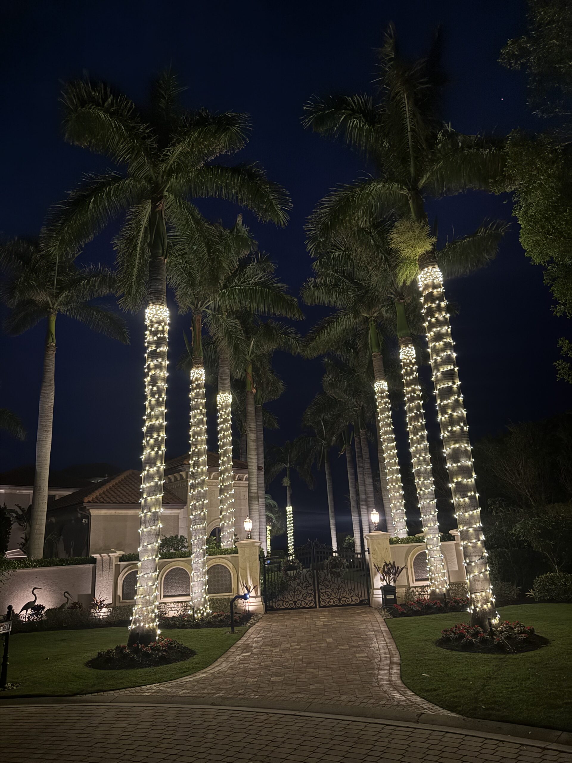 Tall palm trees wrapped with white string lights line the entrance of a gated residence at night, with a paved driveway and landscaped garden visible.