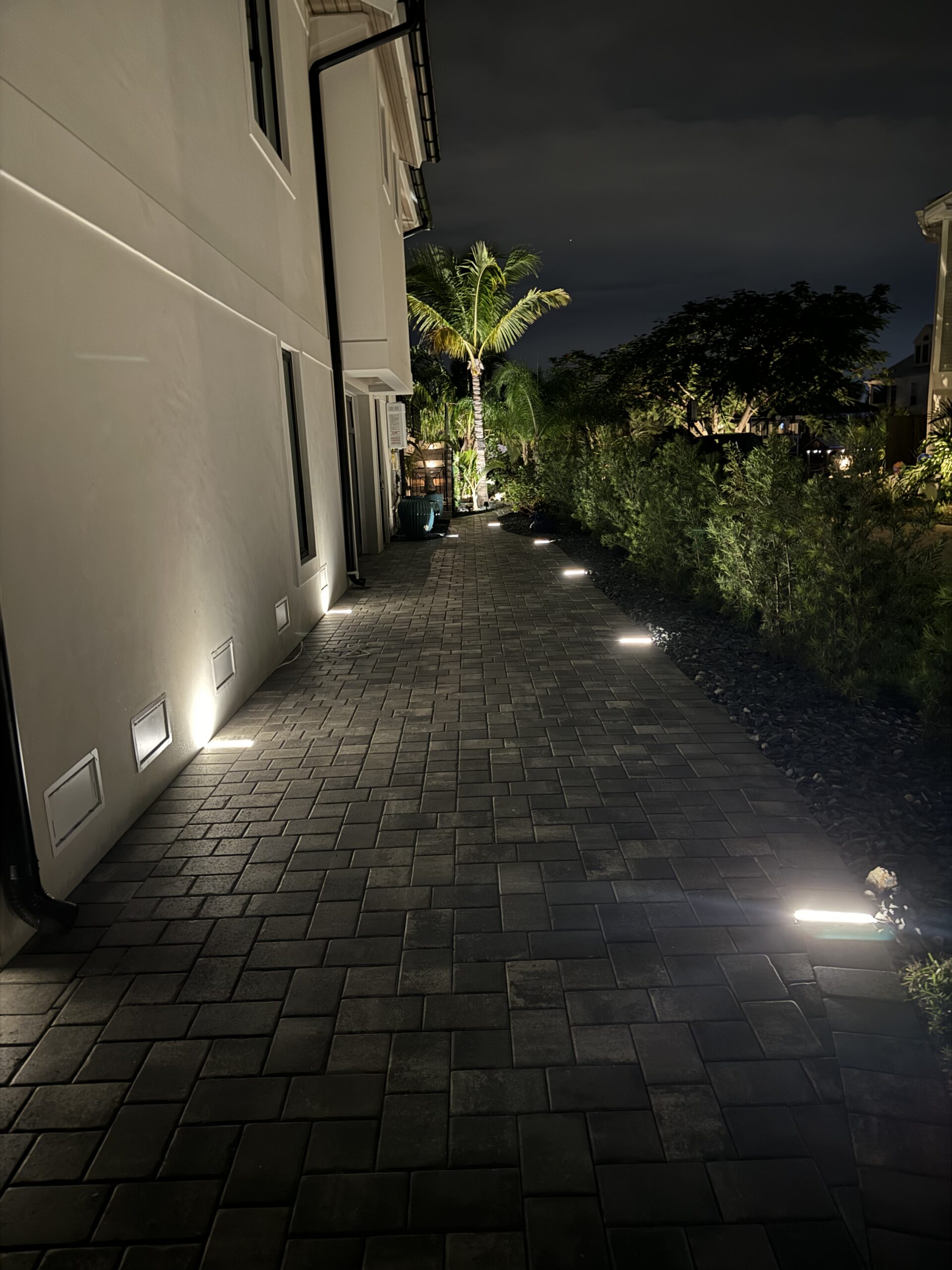 A paved walkway beside a house is illuminated by ground lights at night, with plants and a palm tree lining the path.